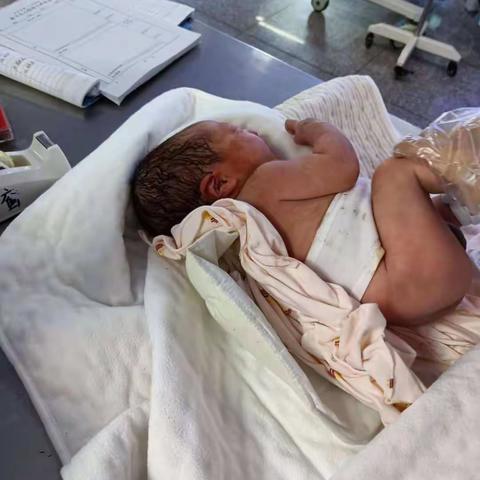 张沐辰的成长记录