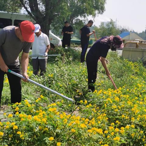 科尔沁区开展刺萼龙葵排查铲除工作
