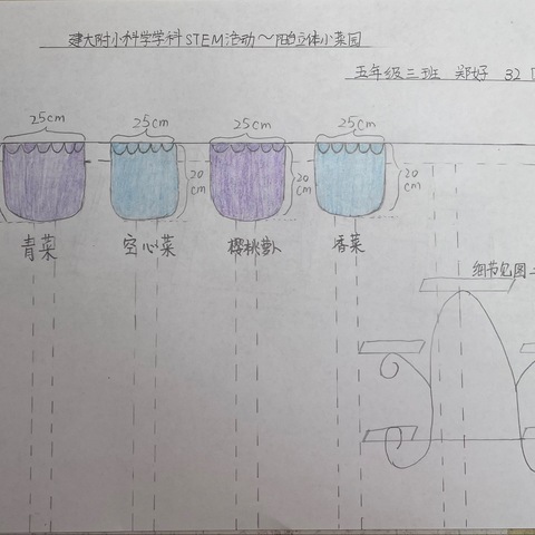 好姐的小菜园——建大附小科学学科STEM活动～～阳台立体小菜园五三班郑好