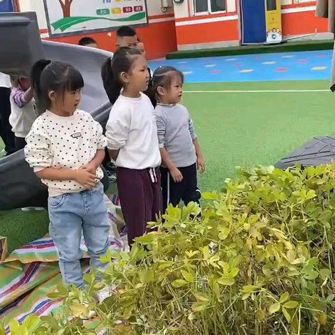 九月悄然去   十月姗然来