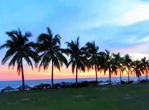 醉美三亚，椰海风情