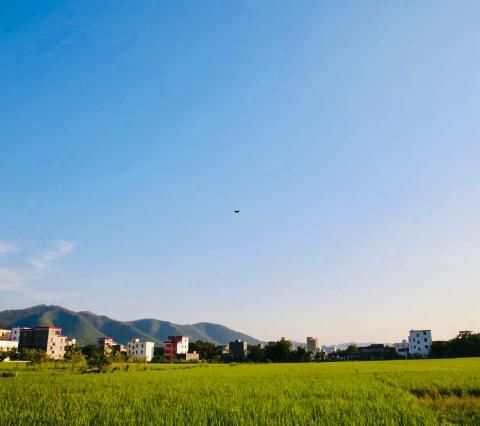 来曲沃过大年（领航.飞鹰）