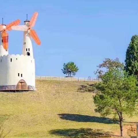 去有风的地方触摸春天 —晨曦小学106班研学之旅