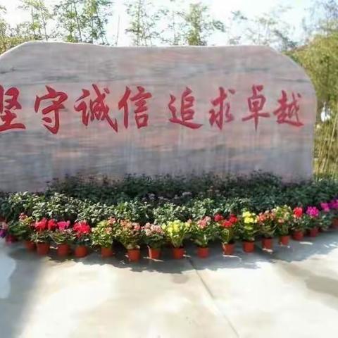 柏乡县王家庄学区2024年招生简章