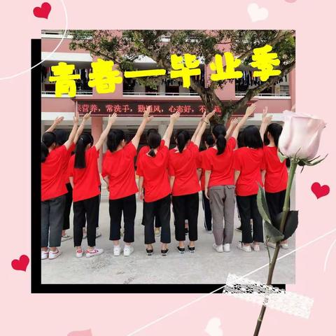 致即将逝去的青春