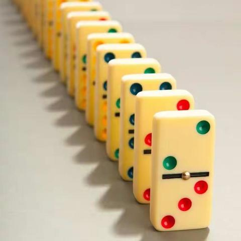 井坪第二小学四四班社会实践活动——神奇的多米诺骨牌