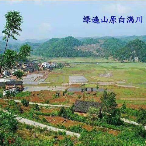 达城中学“停课不停学”进村入户家访纪实