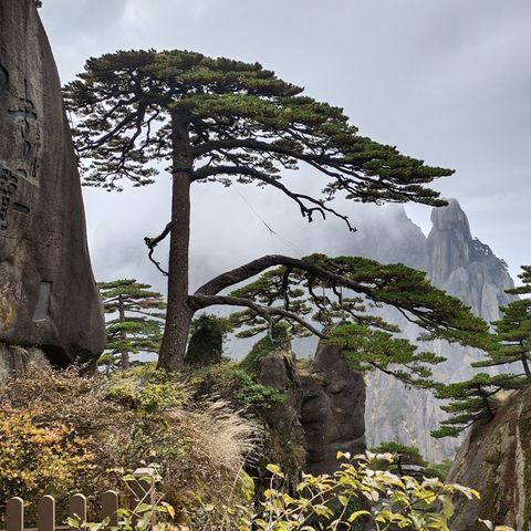 五岳归来不看山，黄山归来不看岳