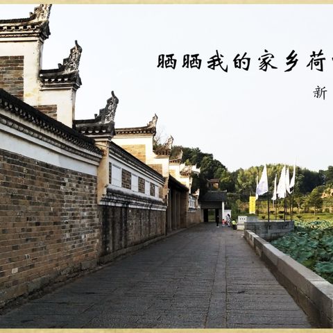 晒晒我的家乡荷叶镇