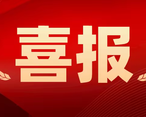 驰骋绿茵，“足”够精彩——瑞昌市第六小学足球小将联赛获佳绩