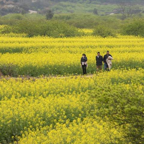 水白中学初一级小楷作业展