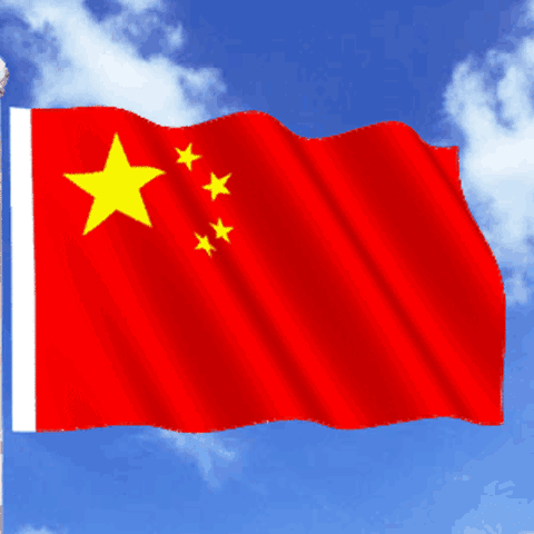 童心向党，党的光辉照我心—记城北小学402青松中队暑期社会实践活动
