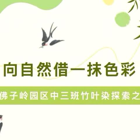 向自然借一抹色彩——中三班竹叶染探索之旅