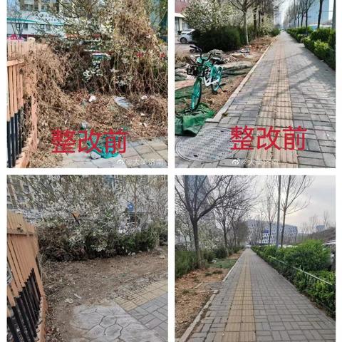 五七车站社区创城进行时：“地毯式”整治环境卫生 助力文明城市创城