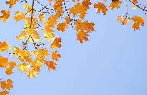 “绘”声“绘”色，玩转数学——数学绘本阅读教学实践