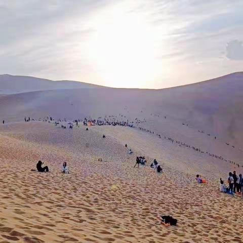 沙漠之旅