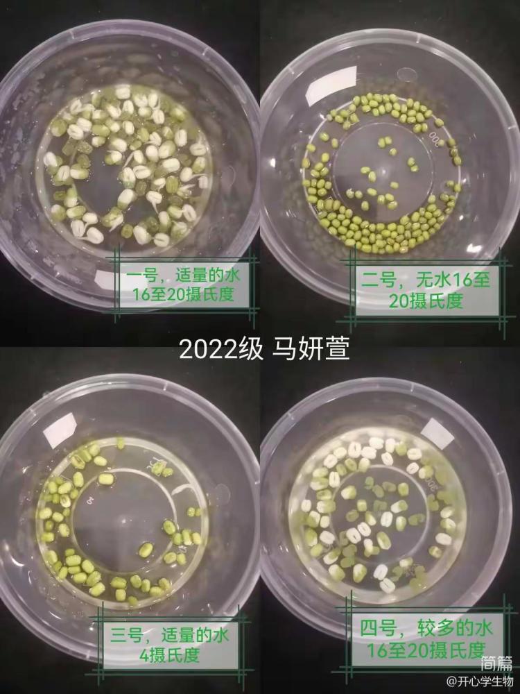 简篇-被子植物的一生