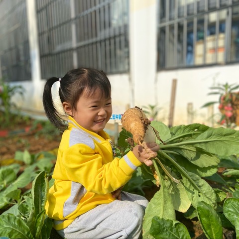 “遇见•萝卜”——琼海市潭门镇中心幼儿园小二班种植园体验活动