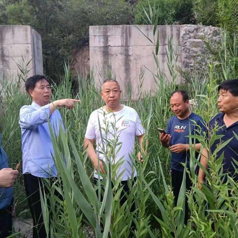 邯郸市防汛第五督导组来涉县检查防汛工作