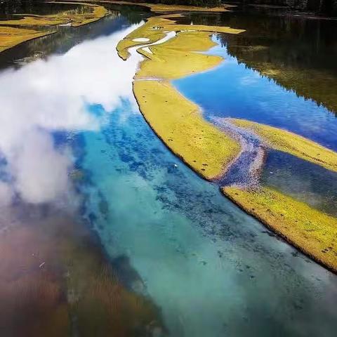 草根梵影俱乐部布谷鸟摄影作品选