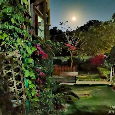 人文的见证     有情的感应