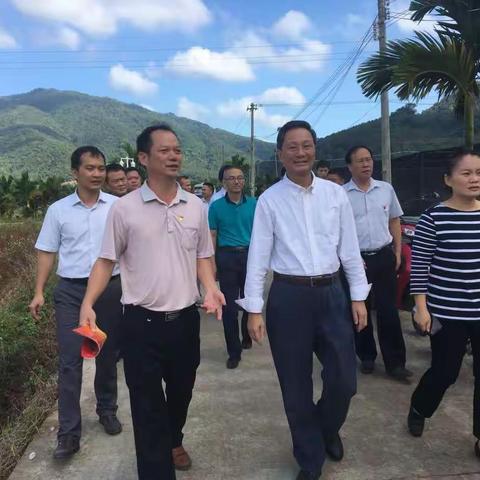 保亭县省六届人大代表专题调研南林乡扶贫产业