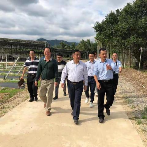 王昱正书记遍访南林乡贫困村