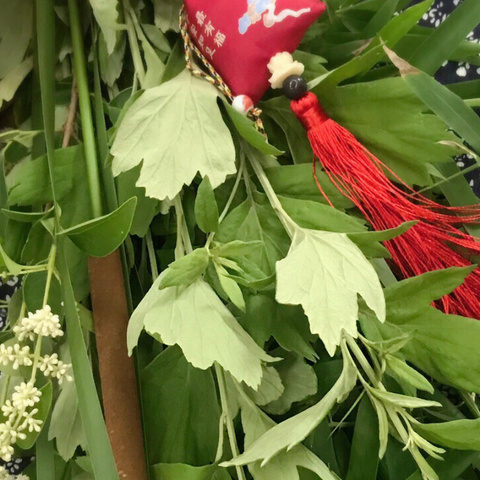 芝兰为佩 端阳安康🍃-君泰芝府端阳雅集集锦