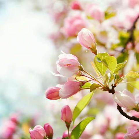 跟岗学习之听课心得——有感于方霞老师的课