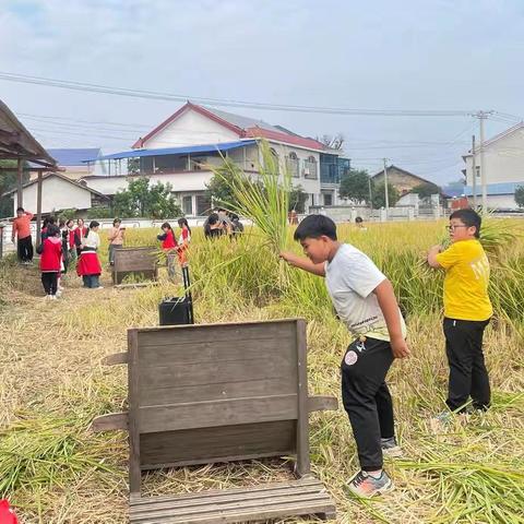 “研”途皆知识“学”中悟成长——文化路小学六年级罗家坪研学之旅