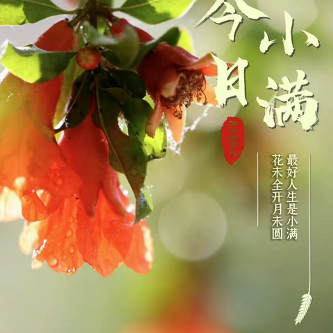 记录实验二小一（二班）家长们第一次执勤！