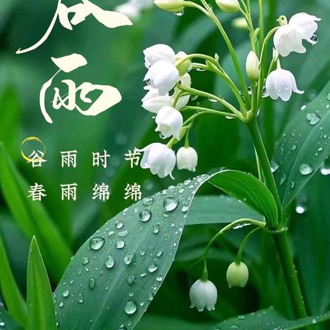 雨润百谷，万物生长。