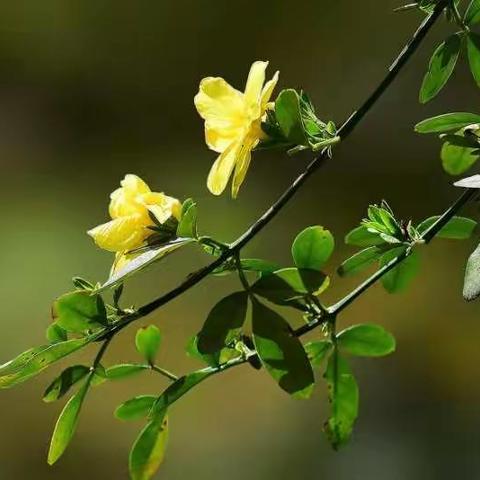 年前年后的诗词（上篇）