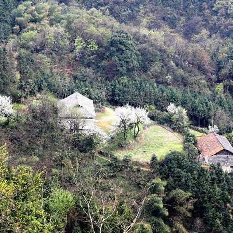 山路行，春游牯牛山！2018·春季