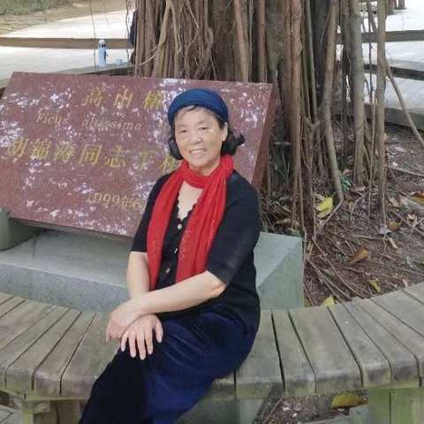 我的365天