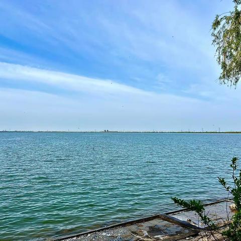 用脚步丈量前路，用激情诠释青春，——辽油高中教育集团三高校区2023年徒步拓展训练暨综合实践活动纪实