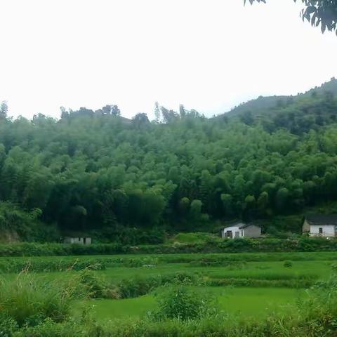 一个山村三处文物