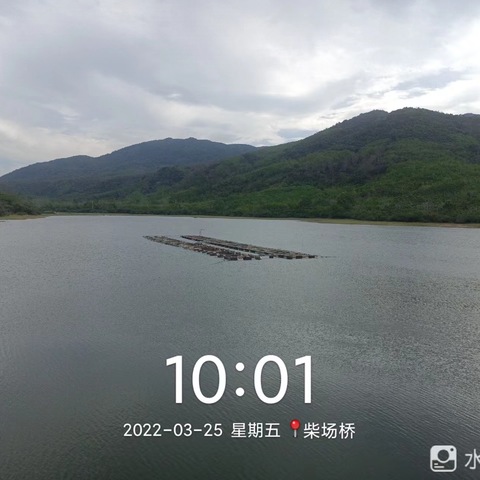 开展网箱养殖整治行动，助力我县“六水共治”攻坚战