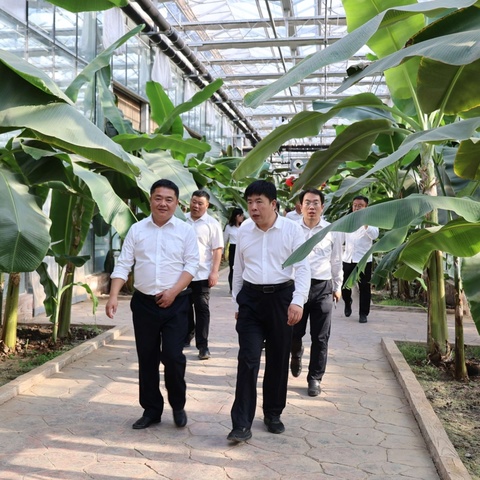 白寨镇：深入学习贯彻《习近平给中国农业大学科技小院的同学们的回信》精神——党政班子带队观摩考察