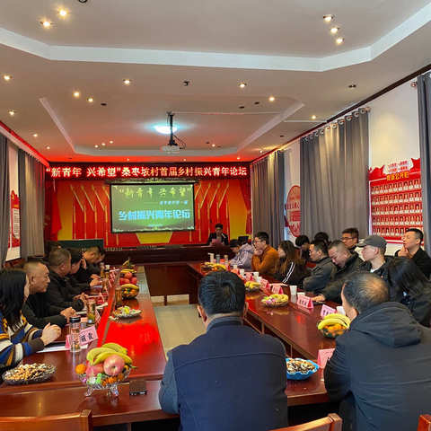 集聚青春力量，助力乡村振兴——“新青年 兴希望”桑枣坡村乡村振兴青年论坛隆重举行