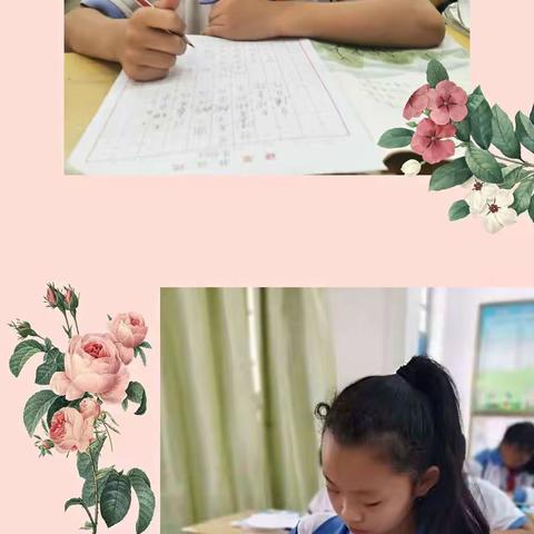 传承传统文化 书写汉字之美