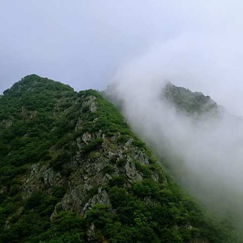 【国庆】山里面有没有住着神仙━520皇金线