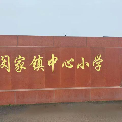 榆树市闵家镇中心小学                   “云督导”工作纪实