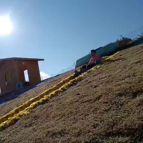 三年级作文《游鸳鸯草场》