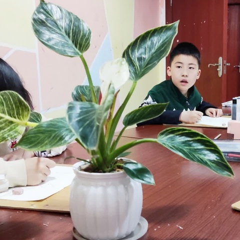 2024春季学习展示雷凯杰