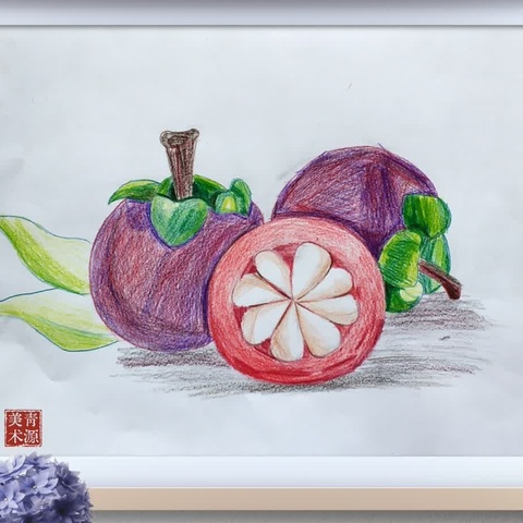 2024春节学习展示周巾晶