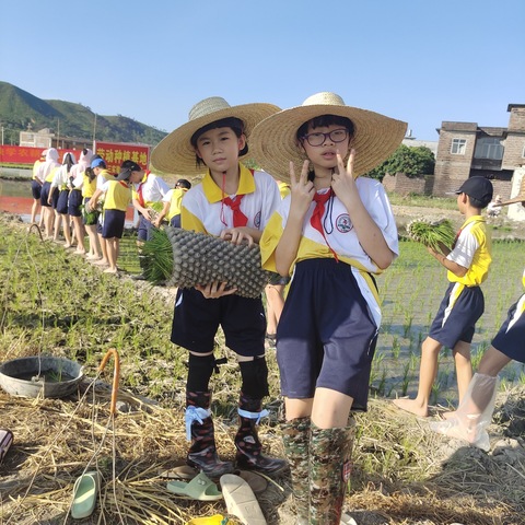 享劳动之趣 悟劳动之美——玉州区第三实验小学1705中队暑假劳动实践