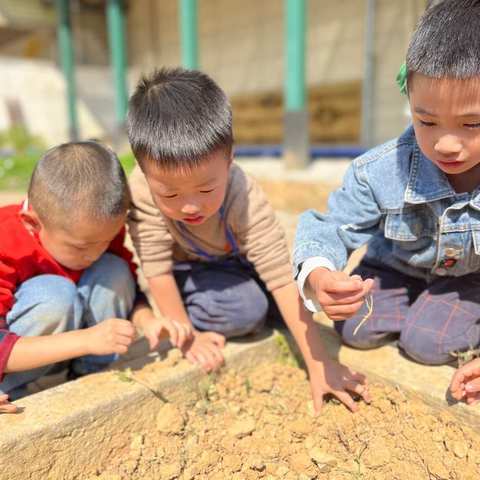 【时光恰好，幼见精彩】中一班第七周精彩回顾