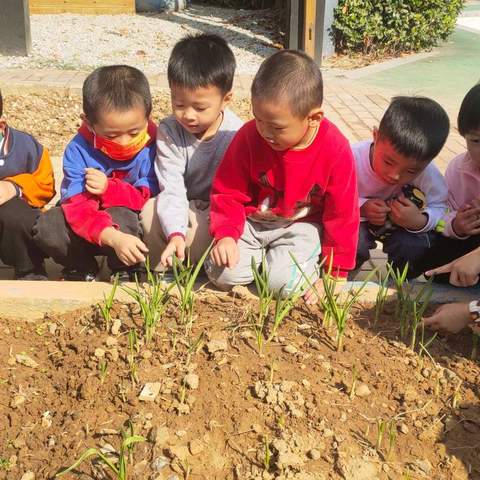 【时光恰好，幼见精彩】中一班第十周精彩回顾