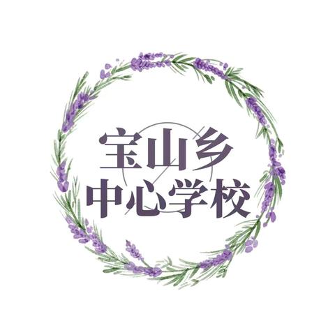 宝山乡中心学校寒假安全一封信